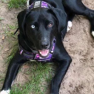 Meet your Posher, Kristina